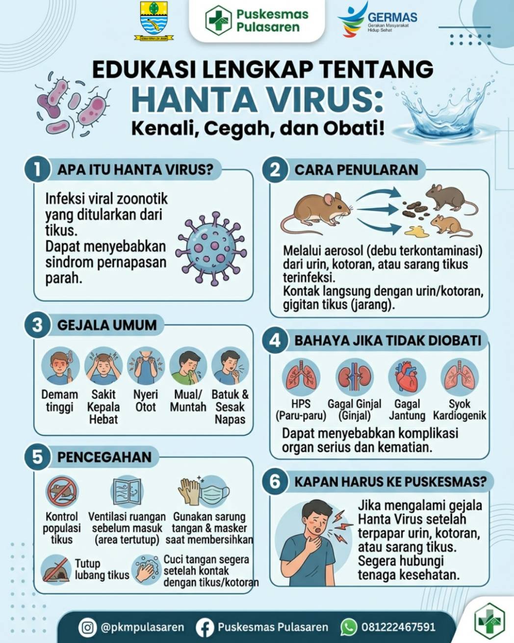 Waspada Hantavirus: Penyakit Berbahaya yang Ditularkan oleh Tikus